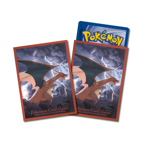 寶可夢造型卡套(韓版) - 噴火龍