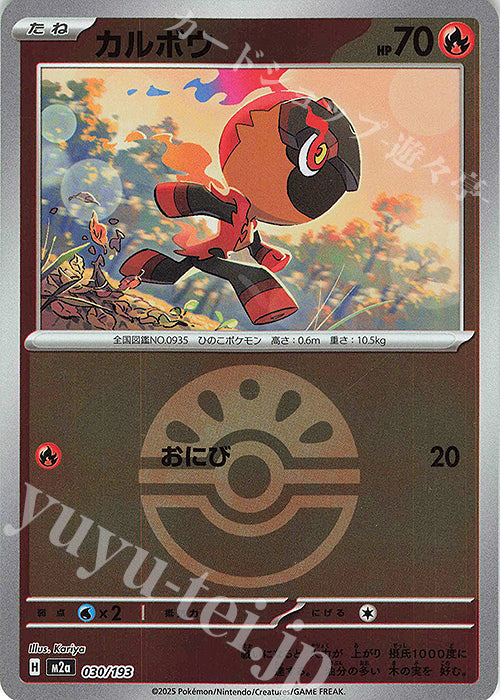 M2a 030/193 炭小侍 波閃