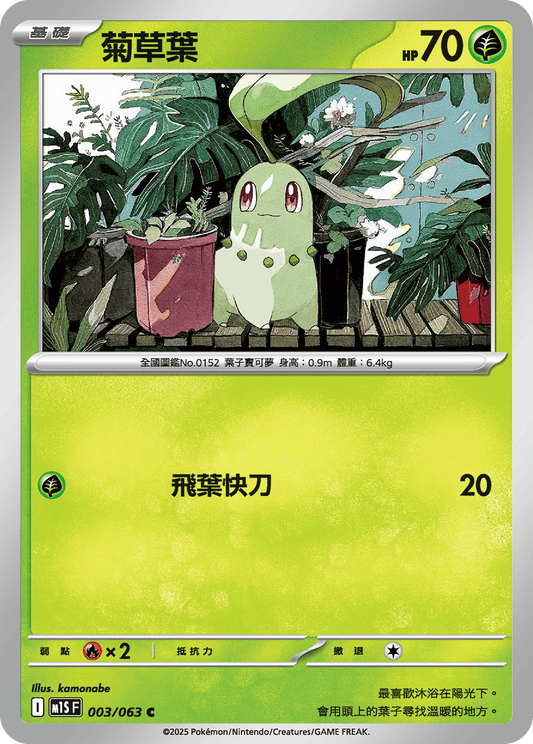 M1S 003/063 菊草葉 C