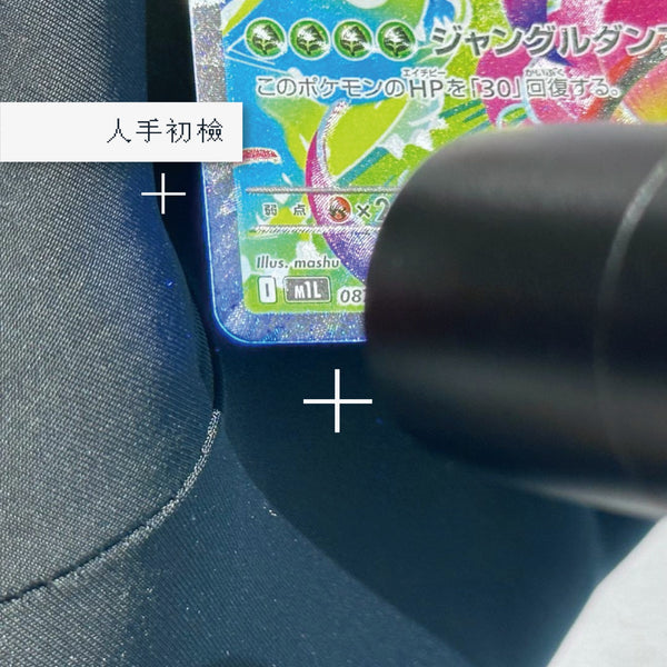 Step 1: 人手初檢