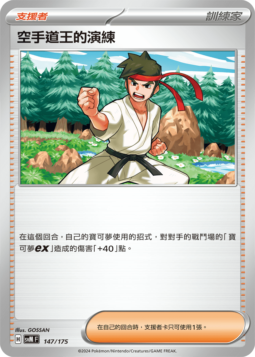 SVM 147/175 空手道王的演練