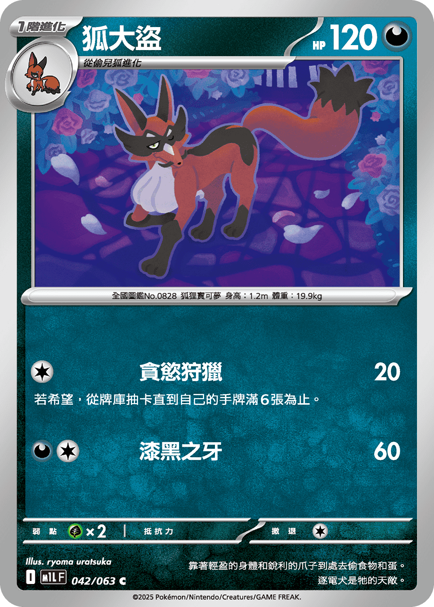 M1L 042/063 狐大盜 C