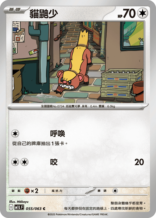 M1L 055/063 貓鼬少 C